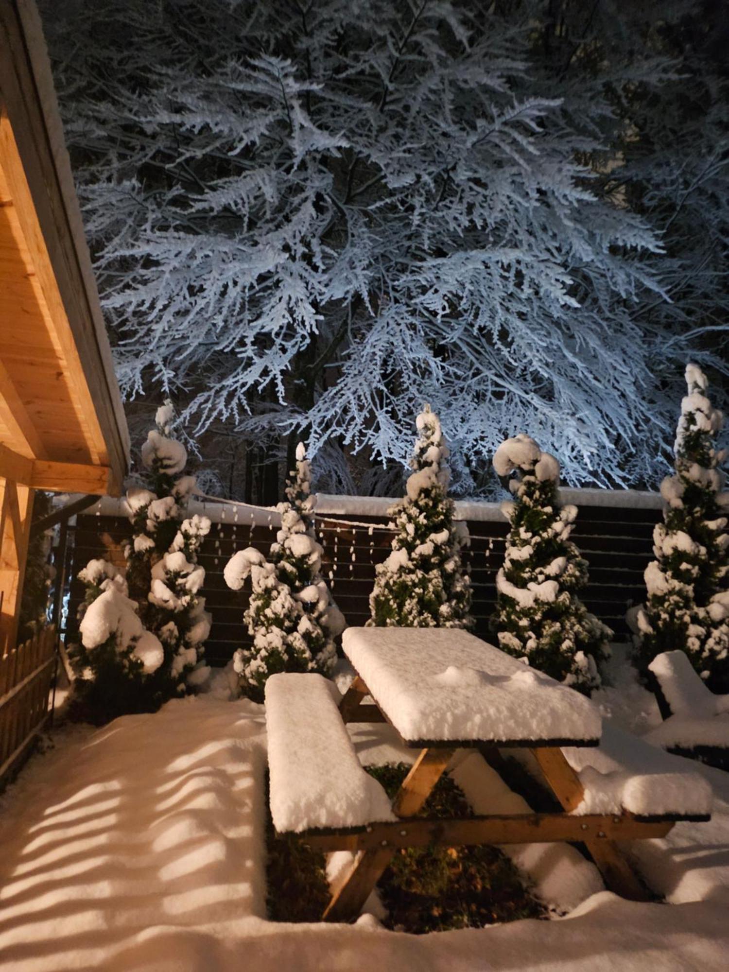 Villa Quad Пояна Брашов Екстериор снимка